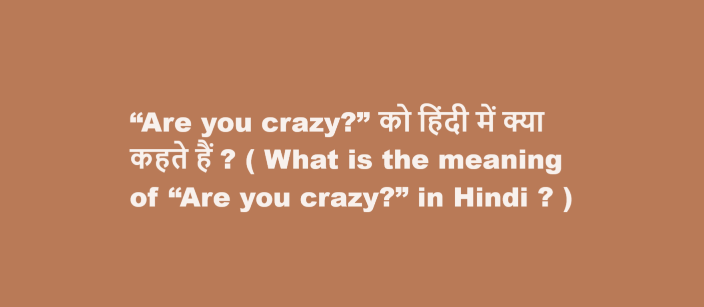 What is the meaning of “Are you crazy” in Hindi
