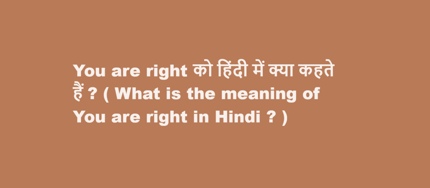 What is the meaning of You are right in Hindi