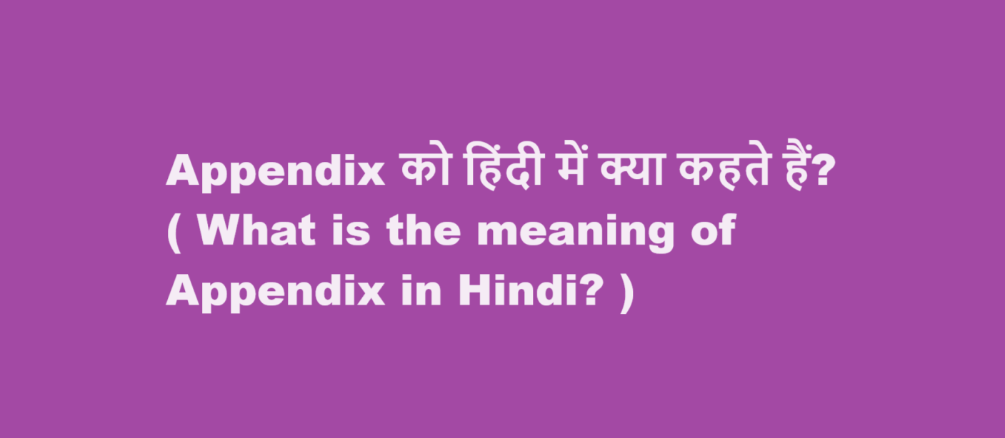 appendix meaning in hindi