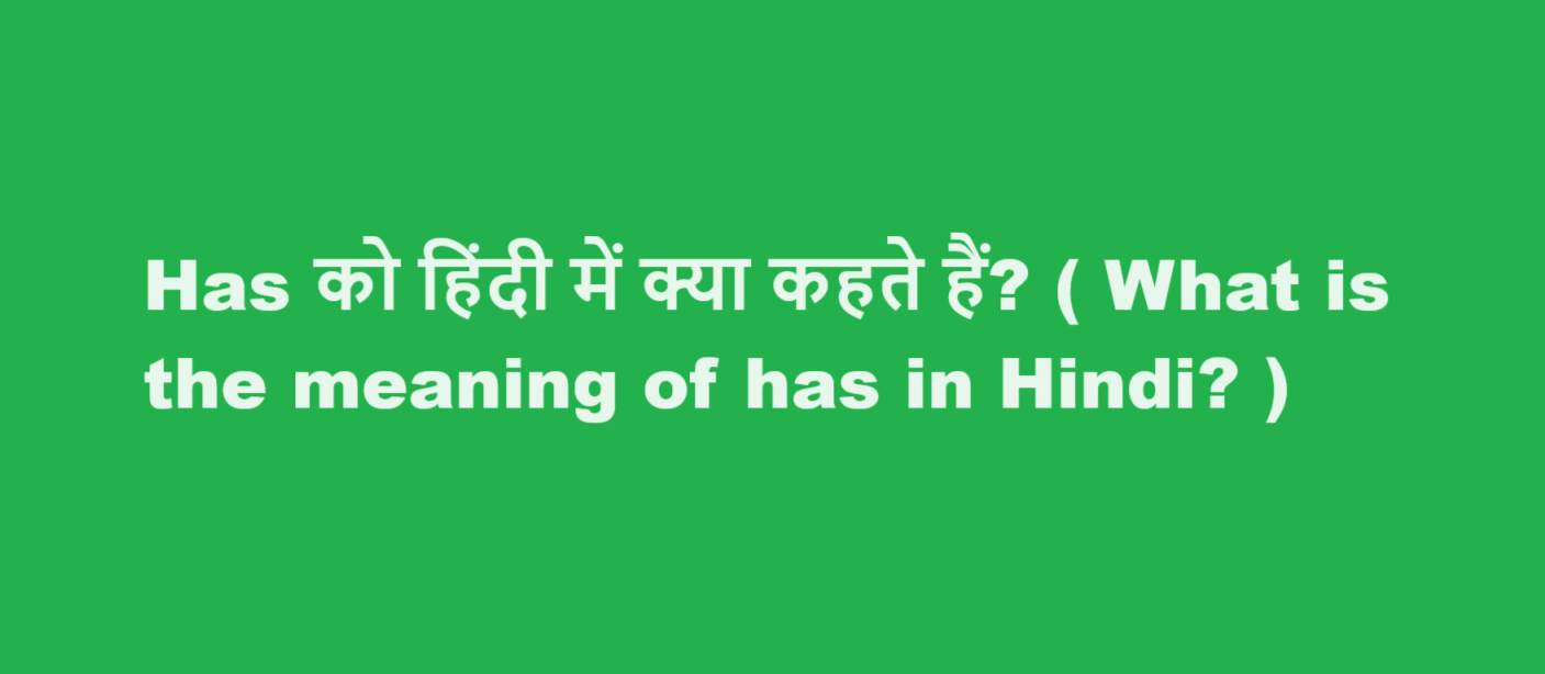 has meaning in hindi