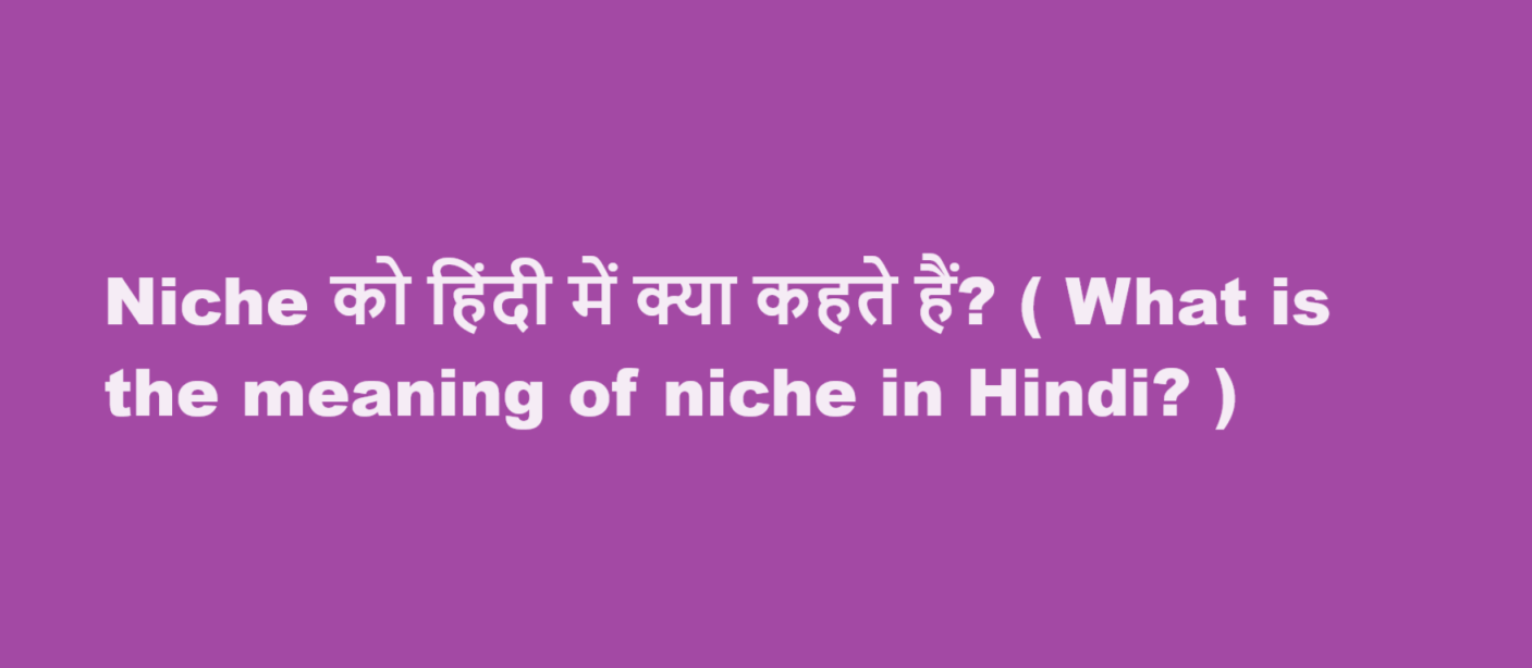 Niche को हिंदी में क्या कहते हैं? ( What is the meaning of niche in Hindi? )