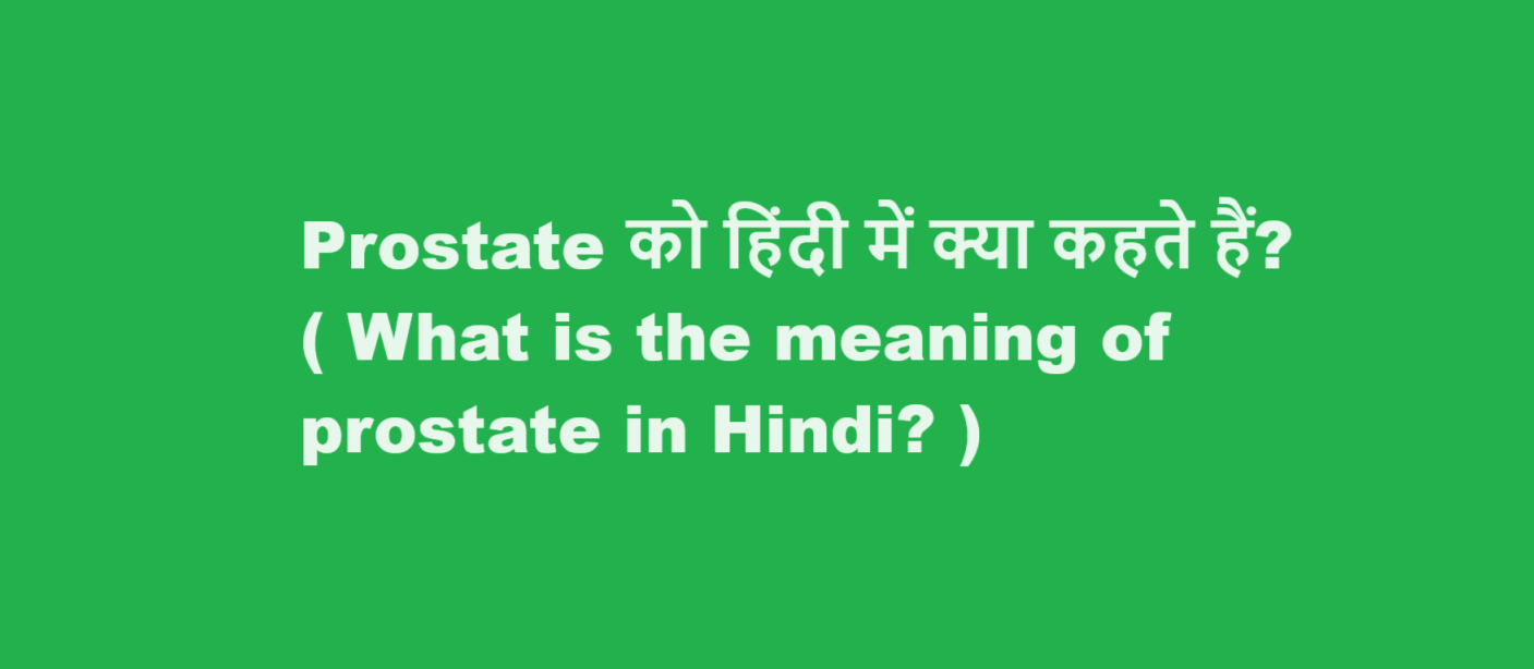 Prostate को हिंदी में क्या कहते हैं? ( What is the meaning of prostate in Hindi? )