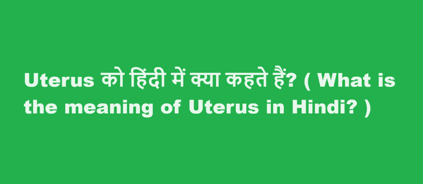 uterus meaning in hindi