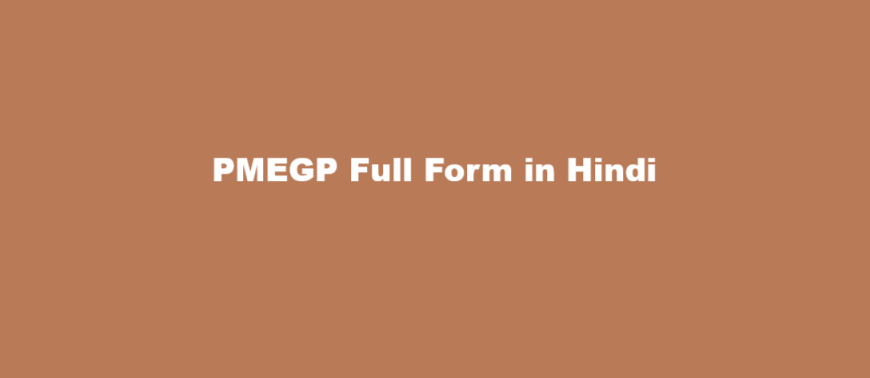 PMEGP Full Form in Hindi