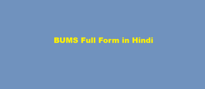 bums course details in hindi