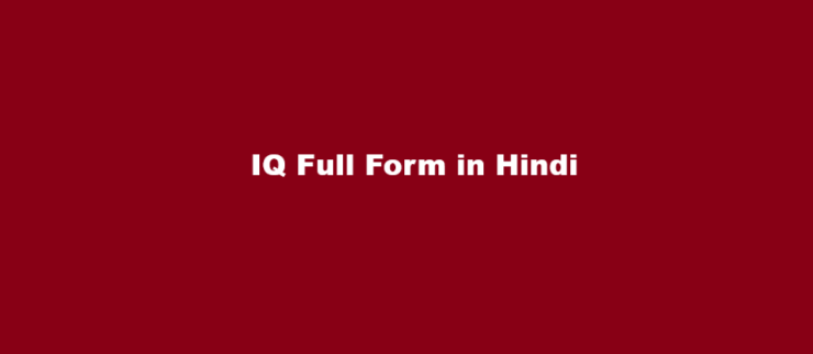 iq full form hindi